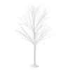 Department 56 Christmas Basics<Birch Tree